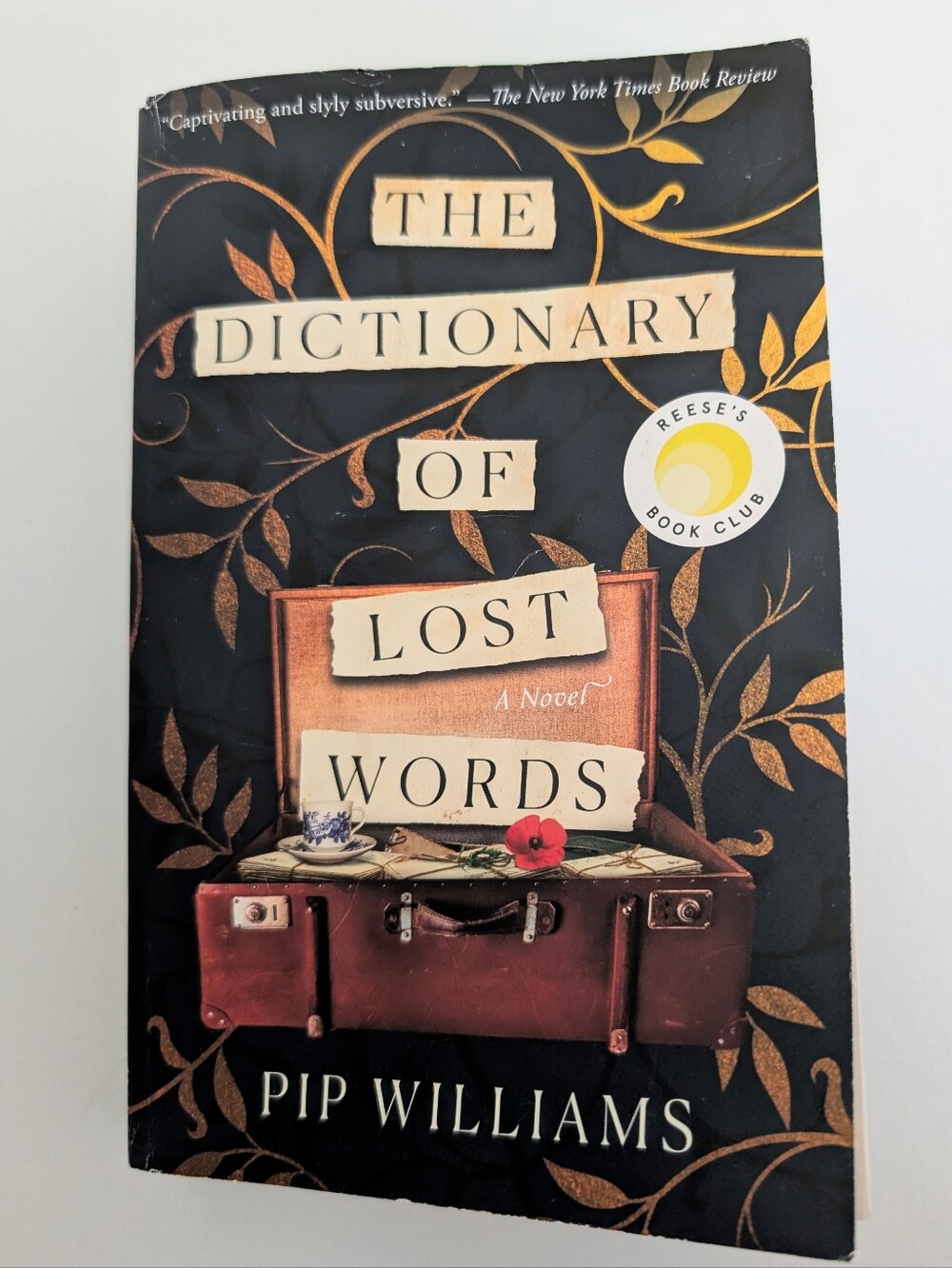 The Dictionary Of Lost Words Novel By Pip Williams